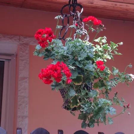 Németh Casa de hóspedes 3*